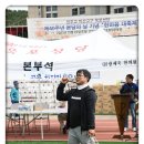 옥포종합운동장 Daum카페