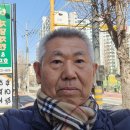 고래새참 티스토리