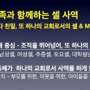 대경셀 네이버블로그