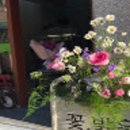 꽃밝음 이미지