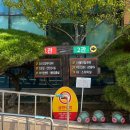 해운대구 보건소 | 임신 준비(6) | 해운대보건소 산전검사 후기 (예비부모 무료검진)