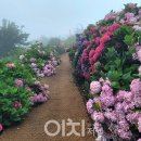 바다위에정원 이미지