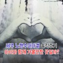 씨유제주노형길점 | 아이와 함께 가볼만한 곳 제주 노형수퍼마켙 제주투어패스 추가요금 및 솔직후기