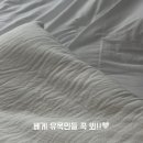 코쿠너