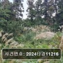 남원읍-95 네이버블로그