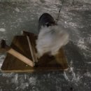 설매공원 이미지