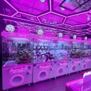 핑키펑키 이미지