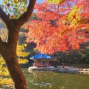 남동문화체육광장(2호) | 2025년 단풍 절정 시기 예측 산림청 단풍지도 명품숲길 10선 소개