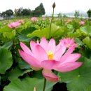 정촌면-8 이미지