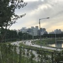 송정제방 이미지