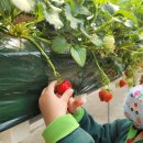 대림2농장 이미지