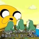 백시 - 평택시 탄현1로 160 | 백시