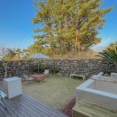 더포레스트하소로 이미지