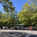 해바라기민박 이미지