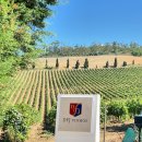 알리칸테 이미지