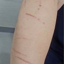 동행동물병원 | #동물과 함께 행복한 세상 #김포동행동물병원(1탄)