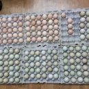 봉두농장 이미지