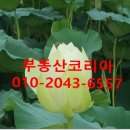 구암동158 이미지