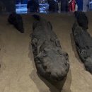 고대1119 이미지