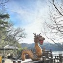 천장호 출렁다리 이미지