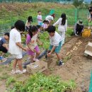 개령서부초등학교 이미지