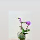 창원중앙여자고등학교 이미지