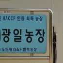 광일농장 이미지