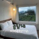 귤림재 | 제주 동쪽 숙소 서귀포 가성비 자쿠지 성산읍 귤림재 내돈내산