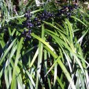 창이대로 이미지