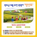 슬로시티 쿱 마켓 | [2026] 완도 청산도 슬로걷기 축제 : 유채꽃과 보리밭의 향연