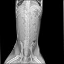 손수의과병원 이미지