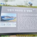 강건너공인중개사사무소 이미지