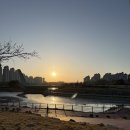 2026년 3월 7일~ 8일 멋쟁이들과 야당역 보드스테이지, 운정역 준코 솔직후기👎🏻👎🏻👎🏻👎🏻👎🏻