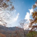 천상골가든 이미지