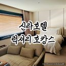 THE 기쁜세탁산업 | 신라호텔 서울 디럭스룸 호캉스 후기 럭셔리 감성 가득한 1박 2일
