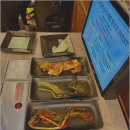 신촌축산 이미지