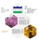 평택중학교 이미지