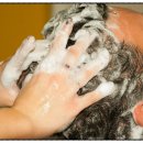 김정희오일 이미지