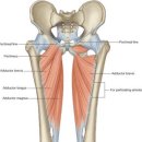 소도구 필라테스 (아침) 이미지