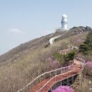 비슬산관광지 이미지