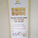 캣파라다이스 일산점 이미지