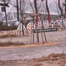 일월통닭