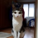 주묘