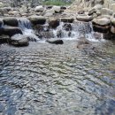 데미샘자연휴양림 이미지