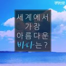 아름다운바다