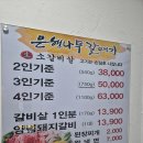 은행나무갈매기 이미지