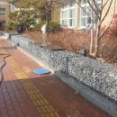 영덕중고등학교 이미지