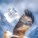 바다속펜션 이미지