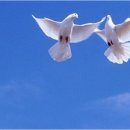 둥지광택 이미지