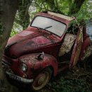 청남산업 | 폐차장 청남철강폐차산업 청주 서원구 남이면 가격 후기